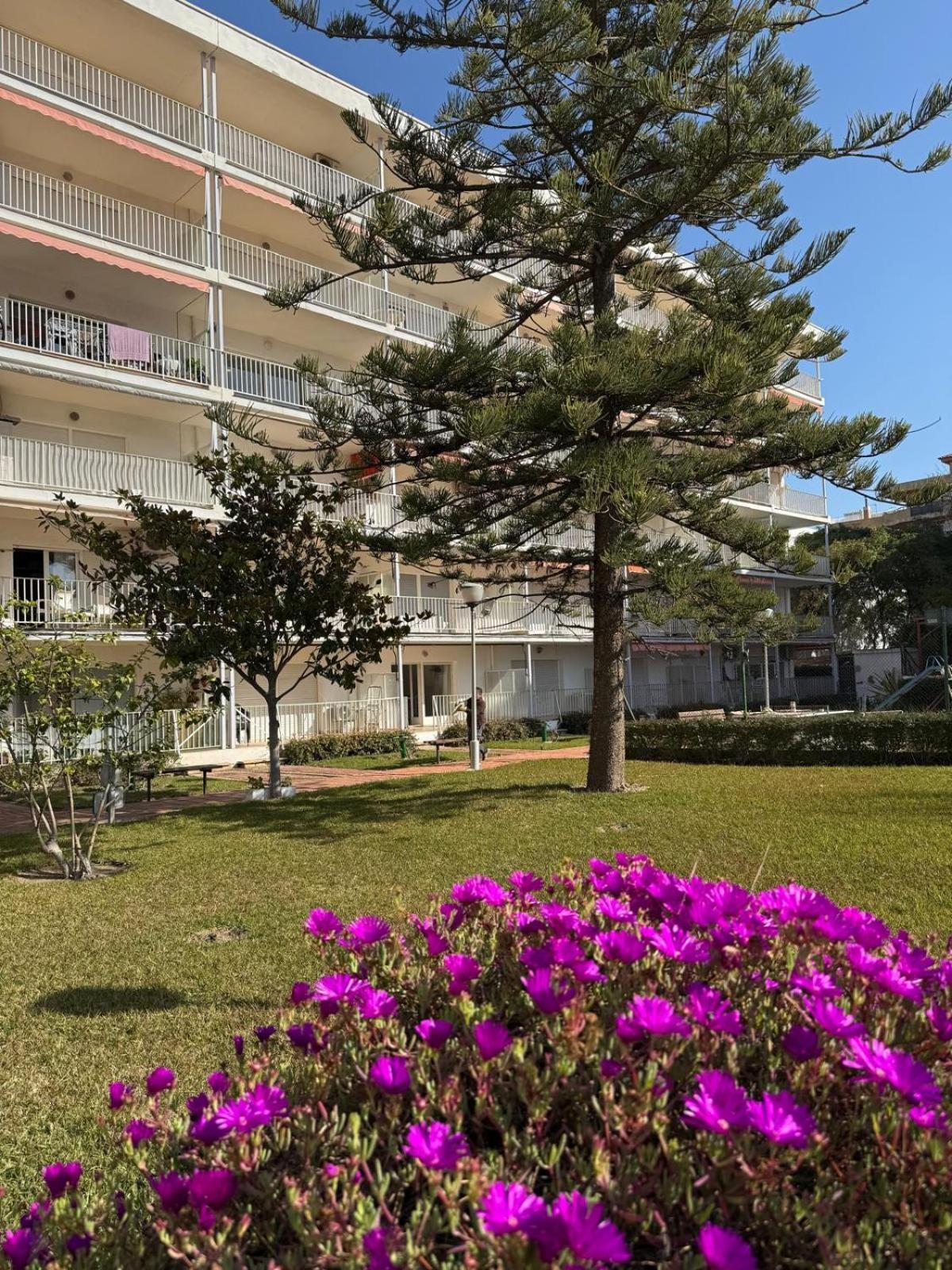 Apartamentos Hesperia Palmyra Салоу Экстерьер фото